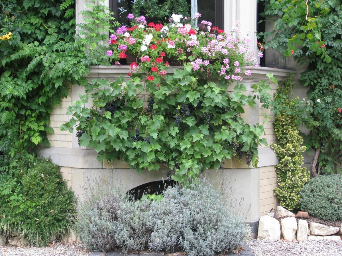 Alte Villa Ling Viersen Exterior photo